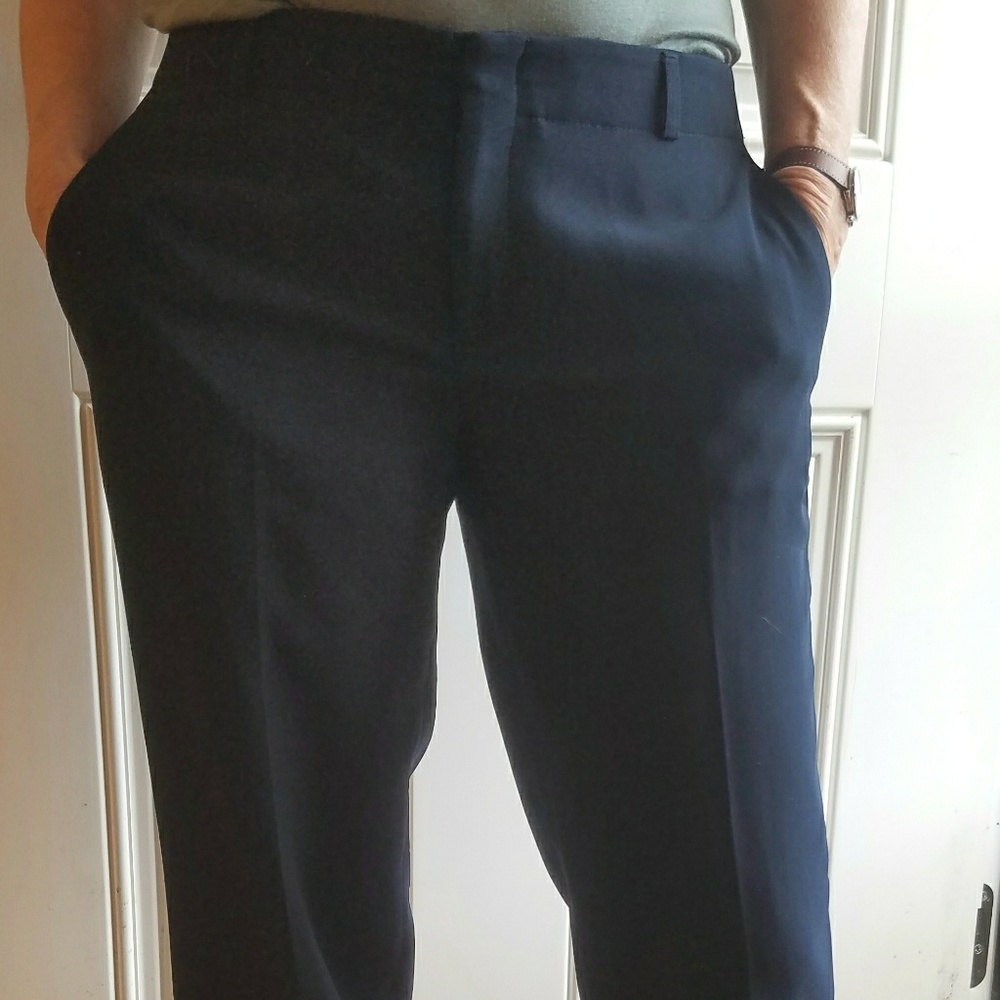 Banana Republic Lined Pants 31" Waist